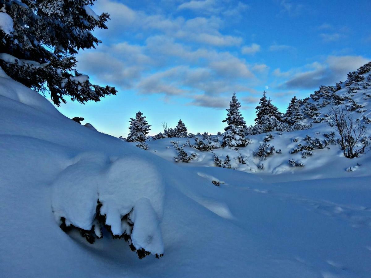 Ferienwohnungen Arikogel Bad Goisern Εξωτερικό φωτογραφία